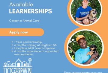 Dogtown Launches Internship Programme