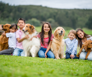 dogs and children