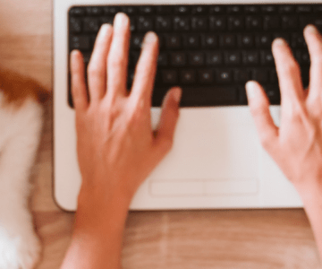 Dogs in the WorkPlace