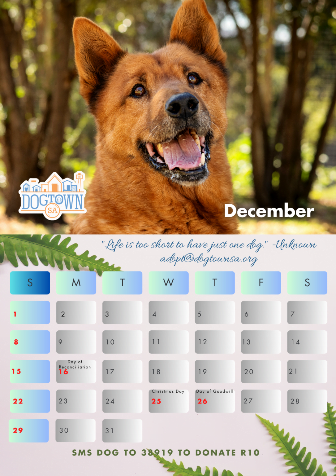 Dogtown Calendar 2024 DogTownSA