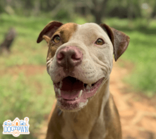 Fred